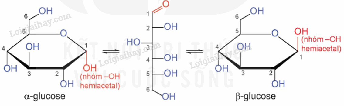 Lý thuyết Giới thiệu về carbohydrate. Glucose và fructose (Hóa 12 Kết nối tri thức 2024) (ảnh 5)
