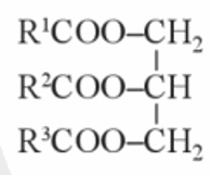 Lý thuyết Ester – Lipid (Hóa 12 Cánh diều 2024) (ảnh 3)