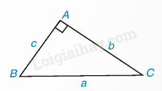 Lý thuyết Một số hệ thức về cạnh và góc trong tam giác vuông (Cánh diều 2024) | Lý thuyết Toán 9 (ảnh 1)
