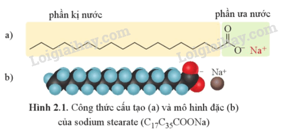 Lý thuyết Xà phòng và chất giặt rửa tổng hợp (Hóa 12 Cánh diều 2024) (ảnh 5)