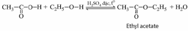 Lý thuyết KHTN 9 Bài 25 (Chân trời sáng tạo 2024): Acetic acid (ảnh 2)