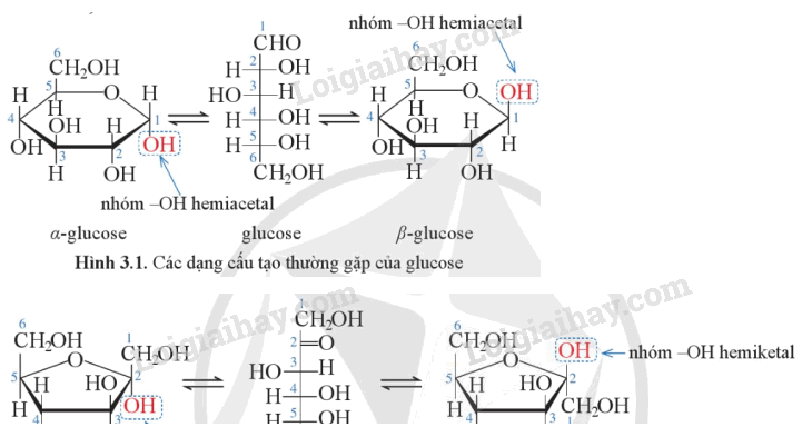 Lý thuyết Giới thiệu về carbohydrate (Hóa 12 Cánh diều 2024) (ảnh 3)