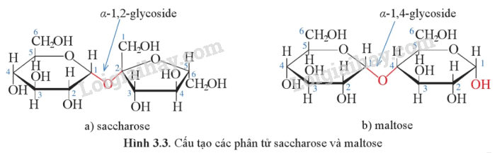 Lý thuyết Giới thiệu về carbohydrate (Hóa 12 Cánh diều 2024) (ảnh 2)