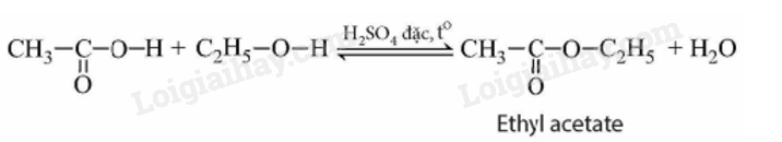 Lý thuyết KHTN 9 Bài 24 (Cánh diều 2024): Acetic acid (ảnh 4)