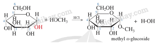 Lý thuyết Tính chất hoá học của carbohydrate (Hóa 12 Cánh diều 2024) (ảnh 7)