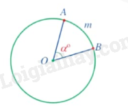 Lý thuyết Góc ở tâm. Góc nội tiếp (Cánh diều 2024) | Lý thuyết Toán 9 (ảnh 3)