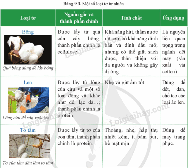 Lý thuyết Vật liệu polymer (Hóa 12 Cánh diều 2024) (ảnh 8)