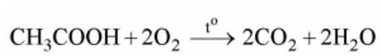 Lý thuyết KHTN 9 Bài 24 (Cánh diều 2024): Acetic acid (ảnh 3)