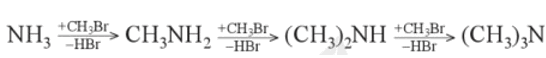 Lý thuyết Amino acid (Hóa 12 Cánh diều 2024) (ảnh 2)