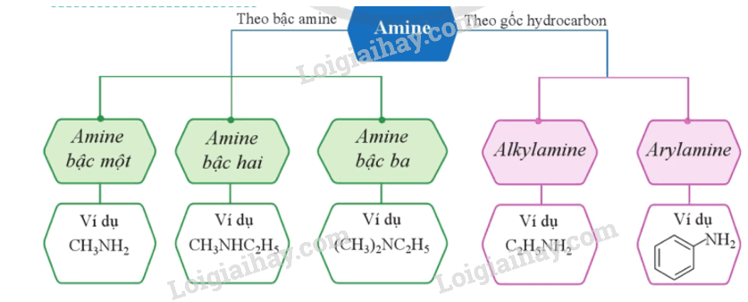 Lý thuyết Amino acid (Hóa 12 Cánh diều 2024) (ảnh 3)