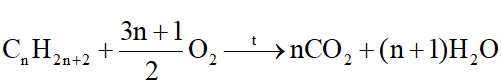 Lý thuyết KHTN 9 Bài 20 (Cánh diều 2024): Hydrocarbon, alkane (ảnh 1)