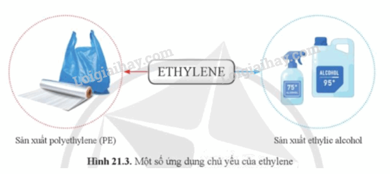 Lý thuyết KHTN 9 Bài 21 (Cánh diều 2024): Alkene (ảnh 1)