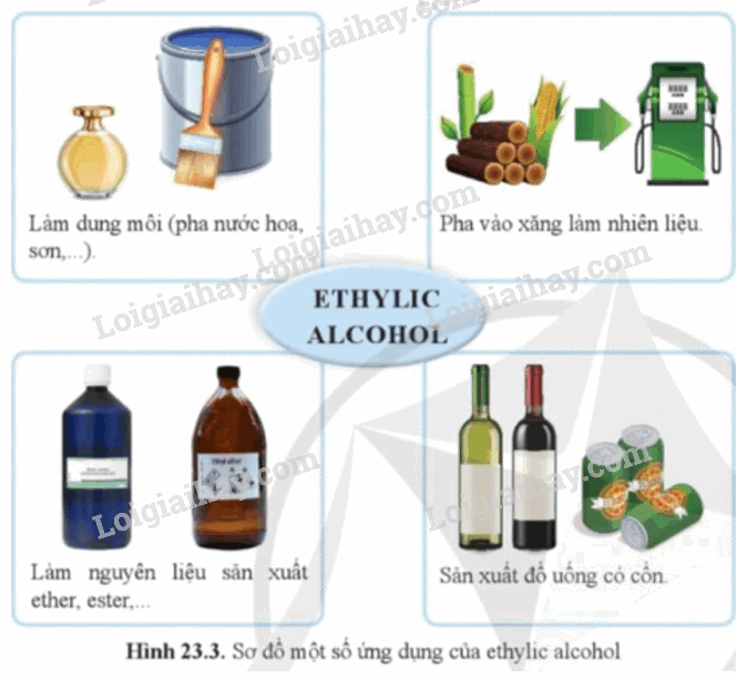 Lý thuyết KHTN 9 Bài 23 (Cánh diều 2024): Ethylic alcohol (ảnh 1)