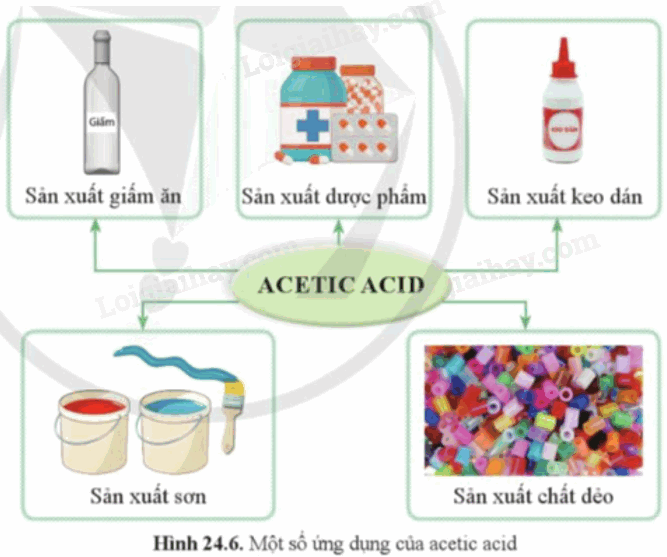 Lý thuyết KHTN 9 Bài 24 (Cánh diều 2024): Acetic acid (ảnh 1)