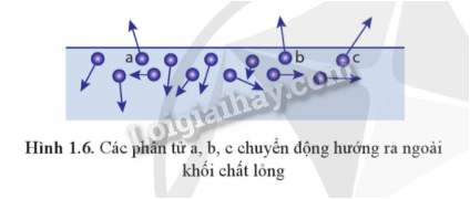 Lý thuyết Sự chuyển thể của các chất (Vật Lí 12 Cánh diều 2024) (ảnh 2)