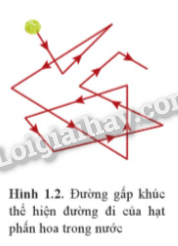 Lý thuyết Mô hình động học phân tử chất khí (Vật Lí 12 Cánh diều 2024) (ảnh 3)