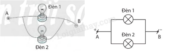 Lý thuyết KHTN 9 Bài 10 (Chân trời sáng tạo 2024): Đoạn mạch song song (ảnh 1)