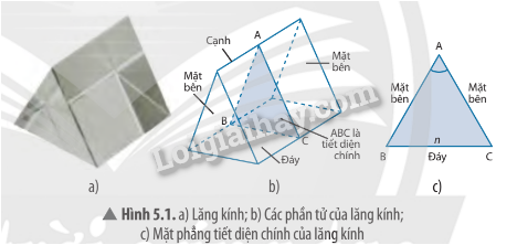 Lý thuyết KHTN 9 Bài 5 (Chân trời sáng tạo 2024): Tán sắc ánh sáng qua lăng kính. Màu sắc của vật (ảnh 5)