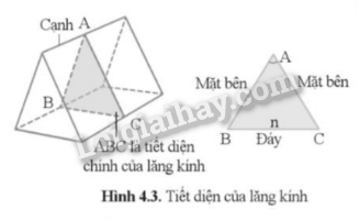 Lý thuyết KHTN 9 Bài 4 (Cánh diều 2024): Hiện tượng tán sắc ánh sáng. Màu sắc ánh sáng (ảnh 3)