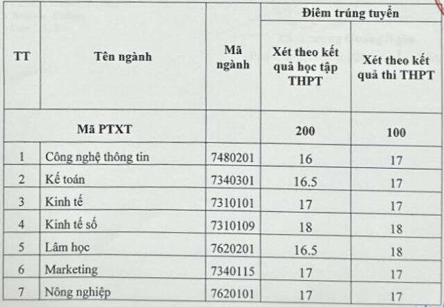 Đại học Kinh tế Nghệ An (CEA): Thông tin tuyển sinh, điểm chuẩn, học phí, chương trình đào tạo (2024) (ảnh 1)