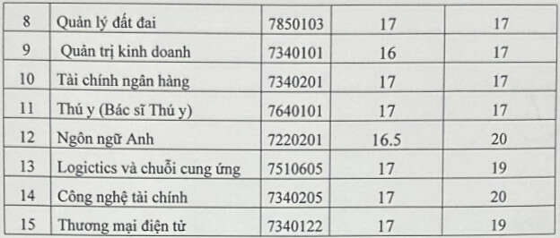 Đại học Kinh tế Nghệ An (CEA): Thông tin tuyển sinh, điểm chuẩn, học phí, chương trình đào tạo (2024) (ảnh 2)