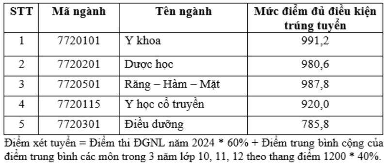 Khoa Y - Đại học Quốc gia TP HCM (QSY): Thông tin tuyển sinh, điểm chuẩn, học phí, chương trình đào tạo (2024) (ảnh 4)