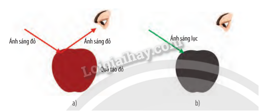 Lý thuyết KHTN 9 Bài 5 (Chân trời sáng tạo 2024): Tán sắc ánh sáng qua lăng kính. Màu sắc của vật (ảnh 2)