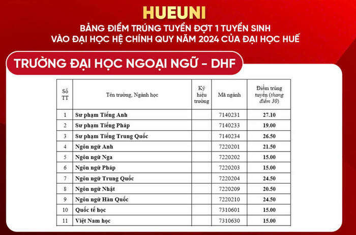 Đại học Ngoại ngữ - Đại học Huế (DHF): Thông tin tuyển sinh, điểm chuẩn, học phí, chương trình đào tạo (2024) (ảnh 1)