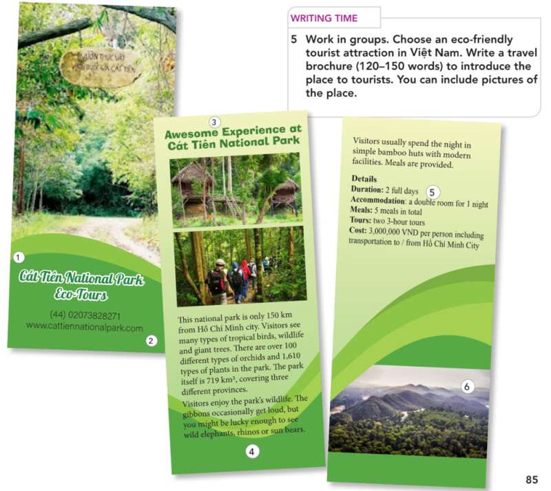 Giải SGK Tiếng Anh lớp 10 Unit 8. Ecotourism | English Discovery (ảnh 16)