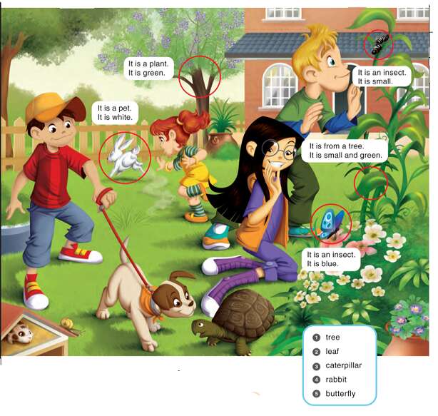 Giải SGK Tiếng Anh lớp 3 Unit 1: In the garden | Guess What (ảnh 2)