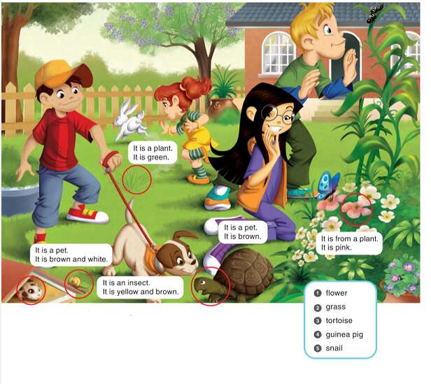 Giải SGK Tiếng Anh lớp 3 Unit 1: In the garden | Guess What (ảnh 5)