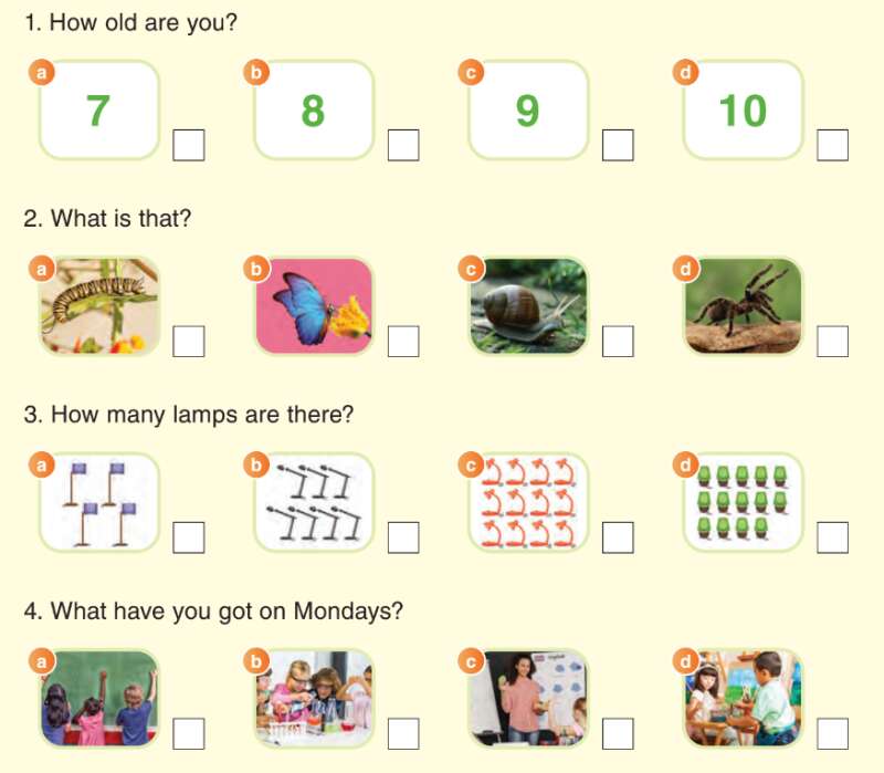 Giải SGK Tiếng Anh lớp 3 End-of-term Test 1 | Guess What (ảnh 3)