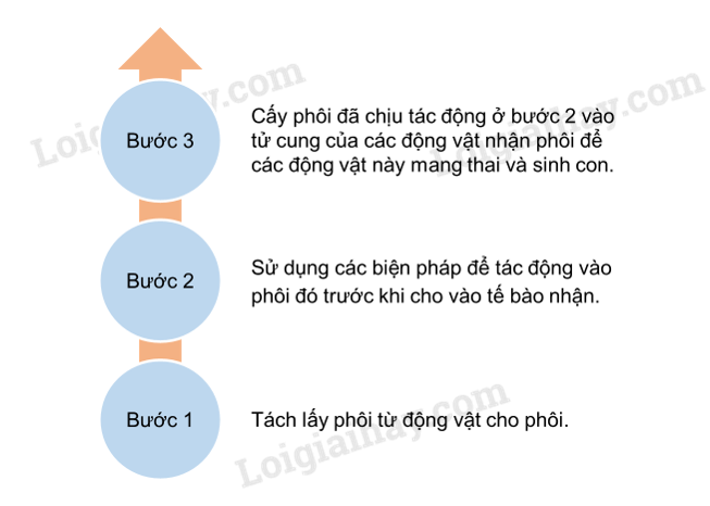 Sinh học 10 Bài 21: Công nghệ tế bào | Giải Sinh 10 Chân trời sáng tạo (ảnh 8)