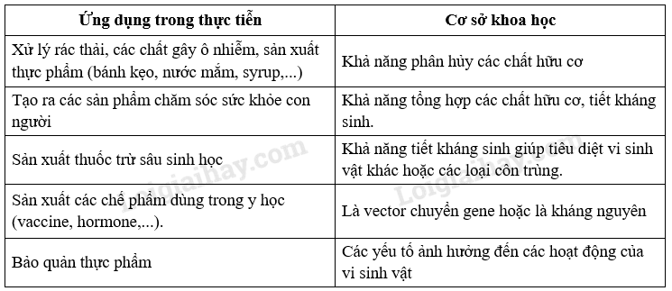 Sinh học 10 Bài 27: Ứng dụng vi sinh vật trong thực tiễn | Giải Sinh 10 Chân trời sáng tạo (ảnh 1)