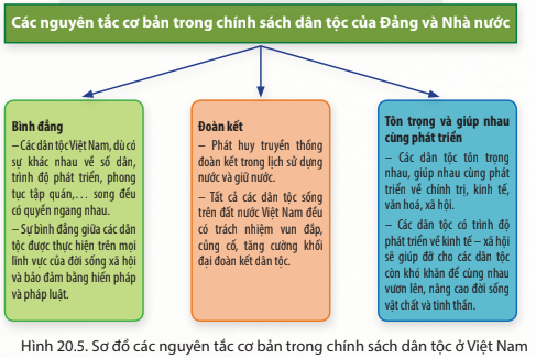 Lịch Sử 10 Bài 20: Khối đại đoàn kết dân tộc Việt Nam | Chân trời sáng tạo (ảnh 1)