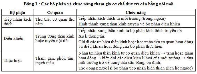 Giải Sinh học 11 Bài 2: Khí hậu châu Á (ảnh 4)