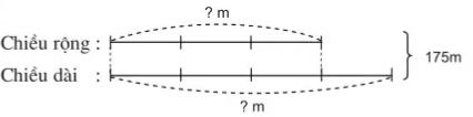 Luyện tập b4.pdf (ảnh 1)