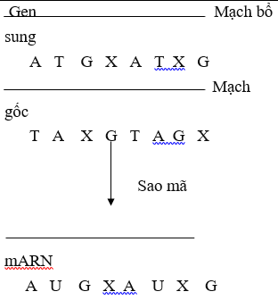 Giáo án Sinh học 10 Bài 6: Axit nucleic mới nhất (ảnh 1)