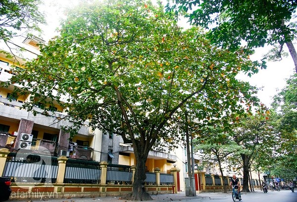 Sinh học 7 Bài 13: Giun đũa (ảnh 1)