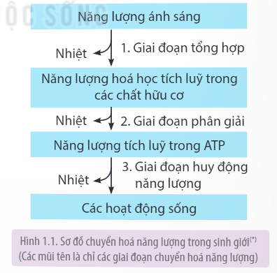 undefined (ảnh 1)