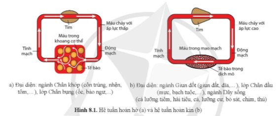 undefined (ảnh 1)