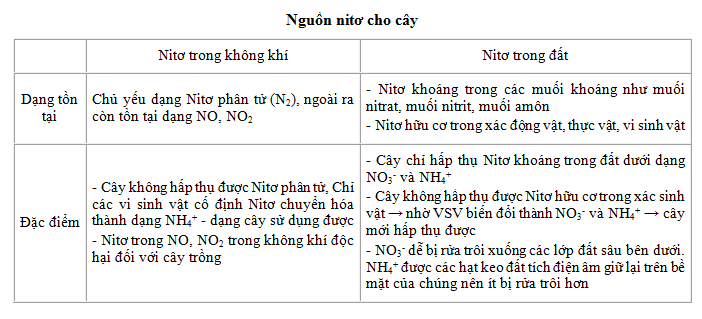 undefined (ảnh 1)