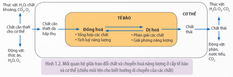 undefined (ảnh 2)