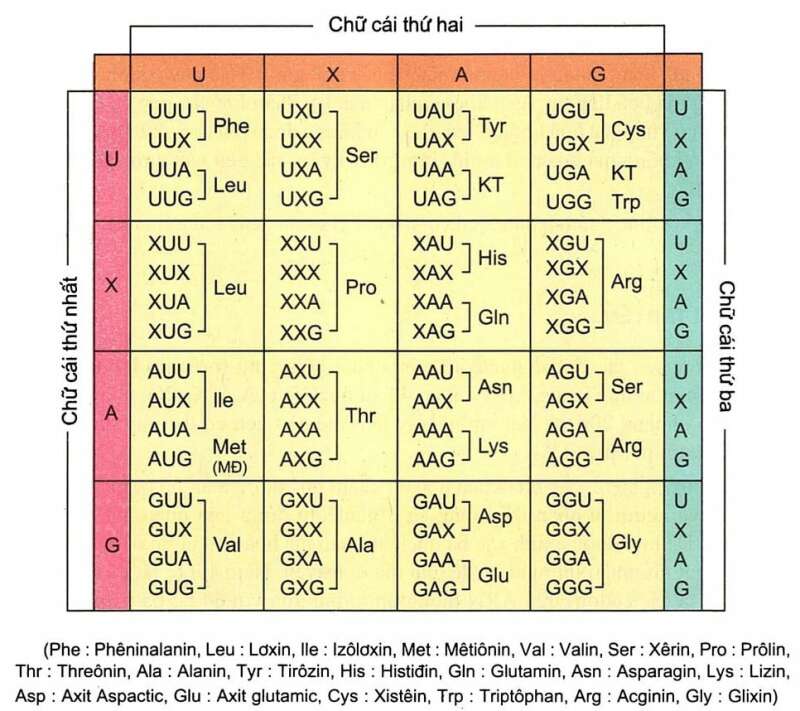 undefined (ảnh 1)