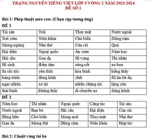 Đề thi Trạng nguyên Tiếng Việt lớp 5 cấp tỉnh năm 2024 có đáp án (ảnh 4)