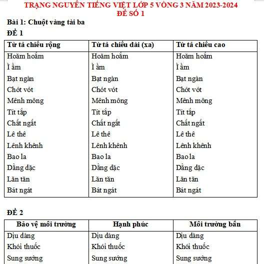 Đề thi Trạng nguyên Tiếng Việt lớp 5 cấp tỉnh năm 2024 có đáp án (ảnh 5)