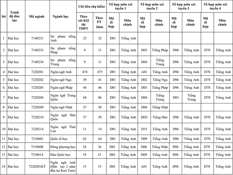 Đại học Ngoại ngữ - Đại học Đà Nẵng (DDF): Thông tin tuyển sinh, điểm chuẩn, học phí, chương trình đào tạo (2024) (ảnh 8)