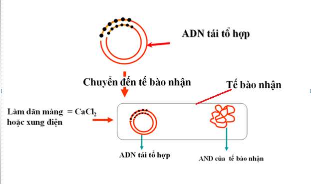 undefined (ảnh 3)