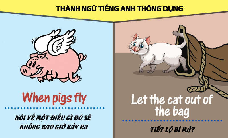 TOP 100 Câu thành ngữ Tiếng anh thông dụng nhất (ảnh 1)