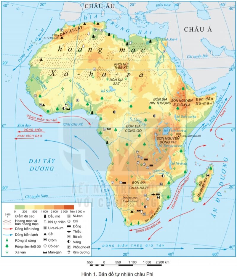 Từ những ngọn núi đá vôi đến những bãi biển trắng xóa, Châu Phi đang chờ đón bạn khám phá. Hãy tìm hiểu thêm bằng cách xem ảnh liên quan đến tiểu lục địa này.